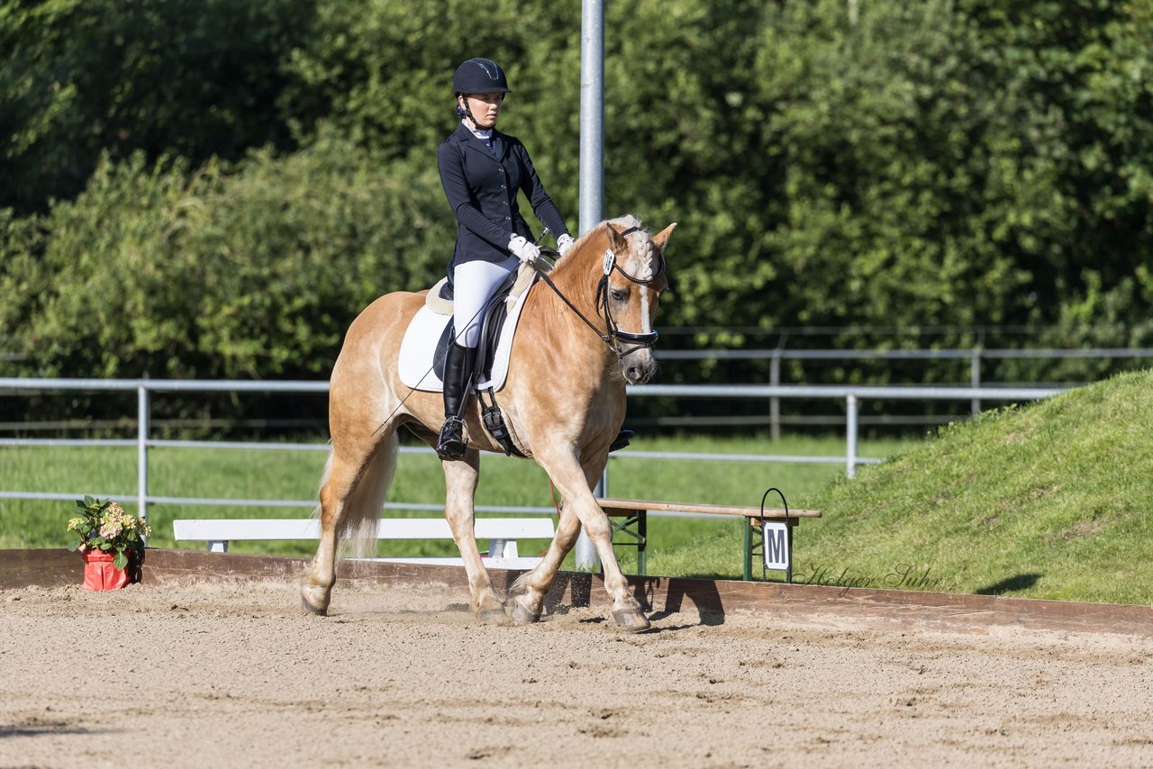 Bild 95 - Pony Akademie Turnier